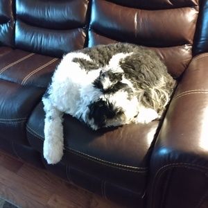 Meet your Posher, Leanne